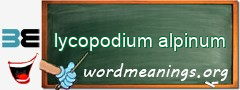 WordMeaning blackboard for lycopodium alpinum